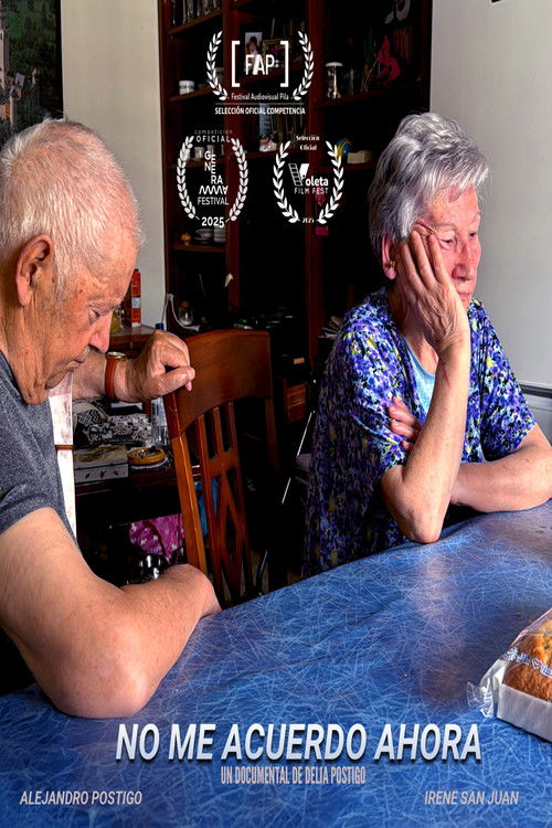 No me acuerdo ahora (2025) poster