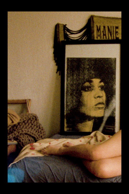 Three Days in Tlaquepaque (2026) poster