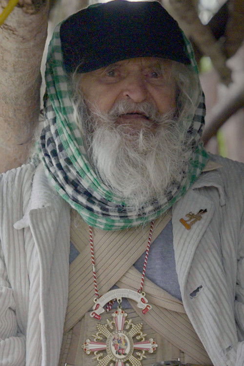 The Vagabonds of the Carpathians (2021) poster