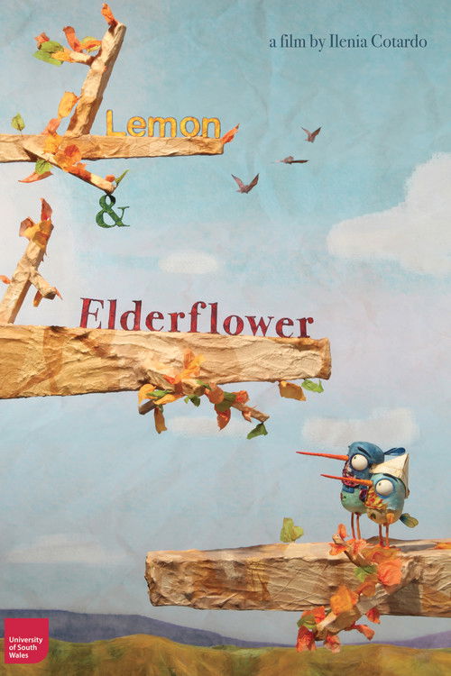 Lemon & Elderflower (2019) poster