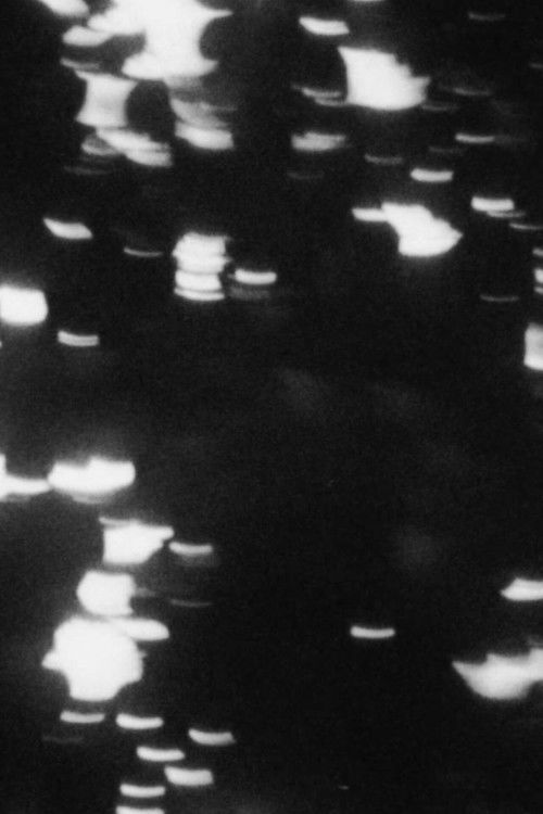 Sunflower (2021) poster