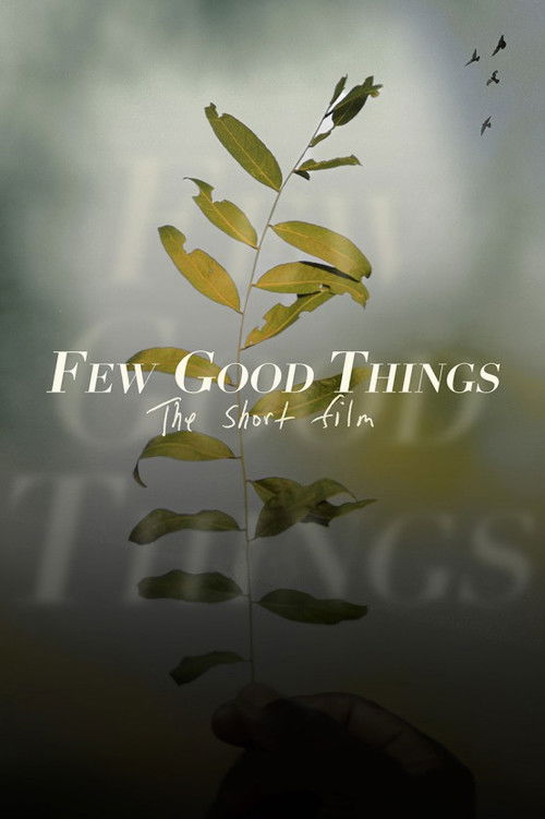 Few Good Things (2022) poster