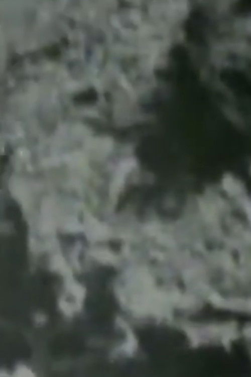 The Indian Runner's Romance (1909) poster