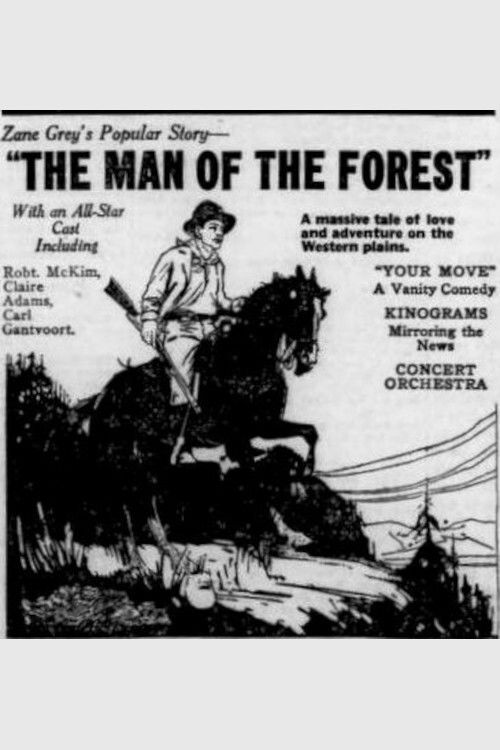 The Man Of The Forest (1921) poster