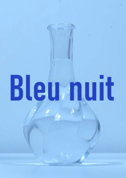 Bleu nuit (2026) poster