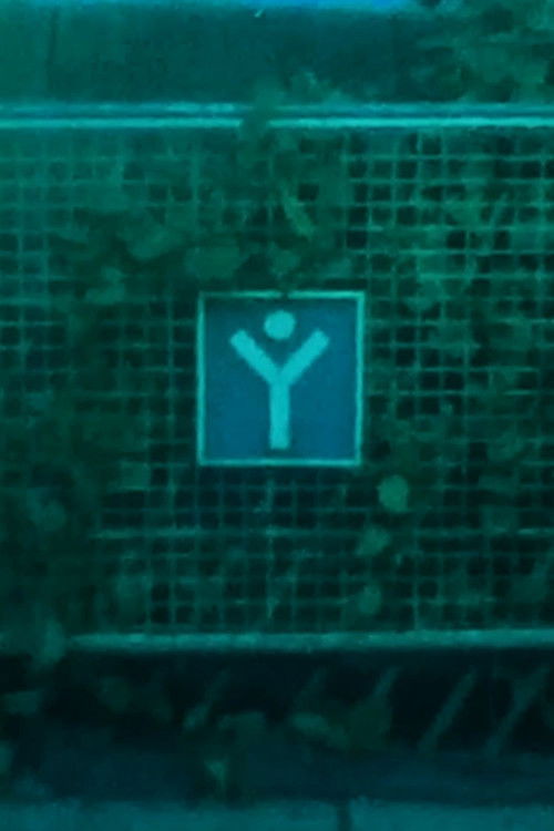 I Feel Like a Stranger But I Know I Left Pieces of Myself Here (2023) poster