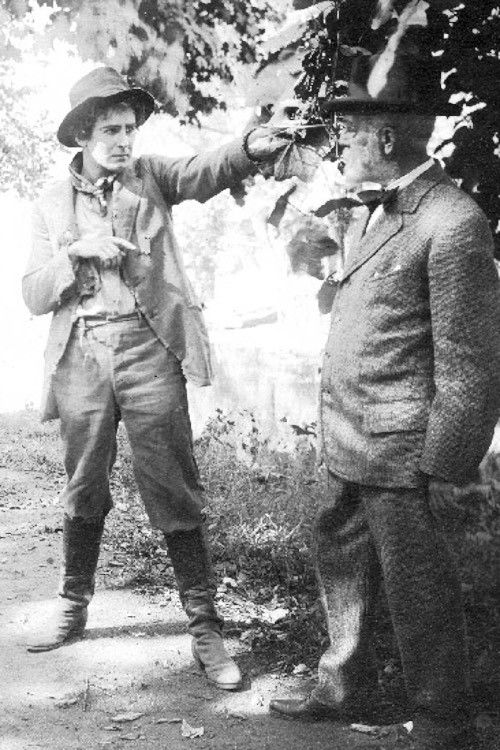 The Moonshine Maid and the Man (1914) poster