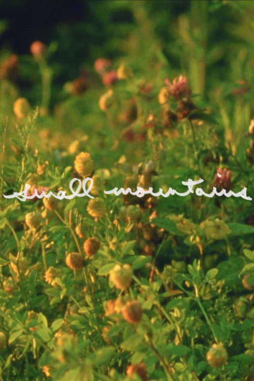 Small Mountains (2024) poster