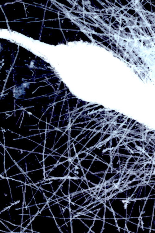 Yaangna Plays Itself (2023) poster