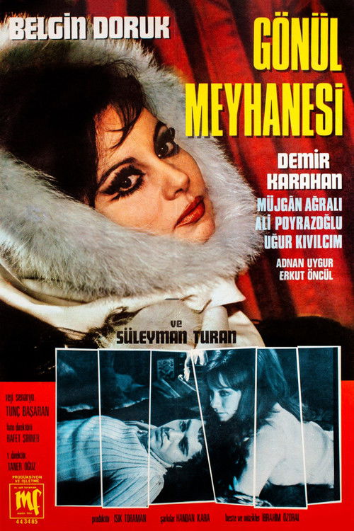 Gönül Meyhanesi (1970) poster