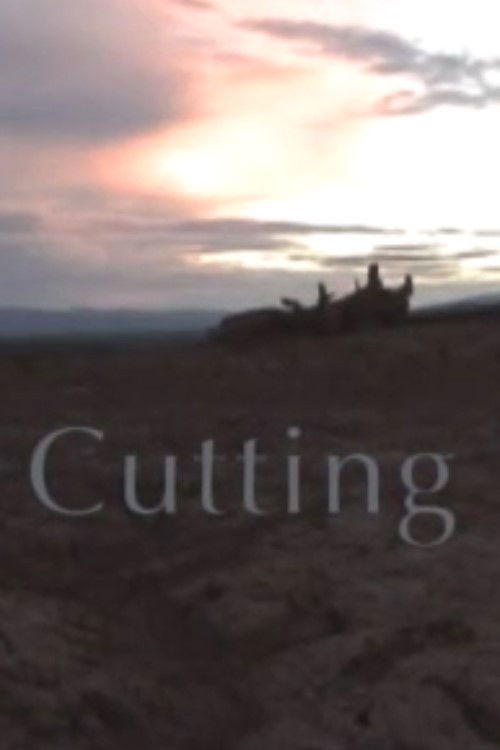 Cutting (2004) poster