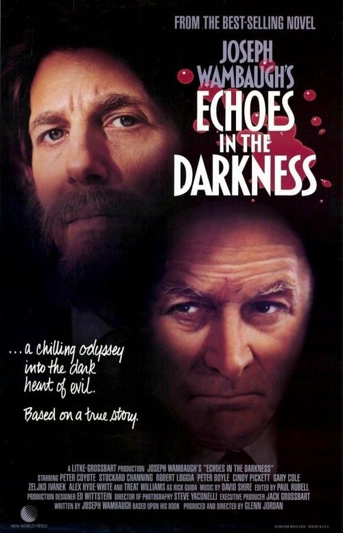 Echoes in the Darkness (1987) poster