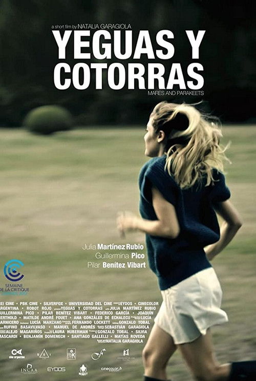 Yeguas y cotorras (2012) poster
