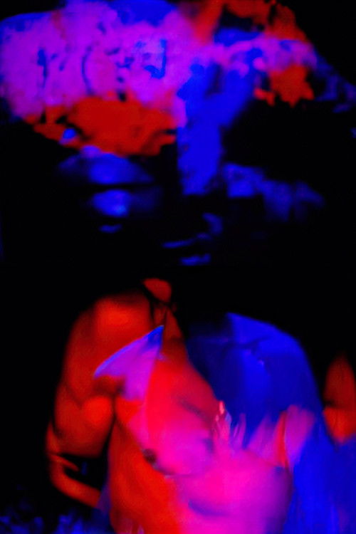 The Death of the Gorilla (1966) poster