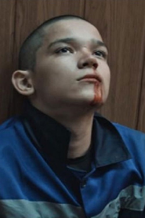 По совести (2018) poster