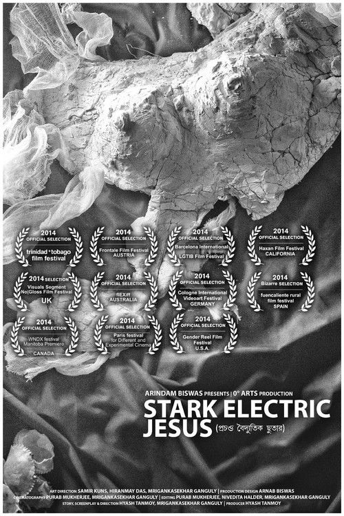 Stark Electric Jesus (2014) poster