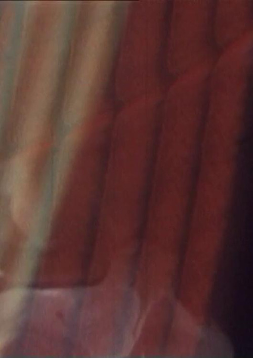 The Old Woman's Face, The Soup Tureen, Vreni Keller Speaks and Madame's Fanny (1967) poster