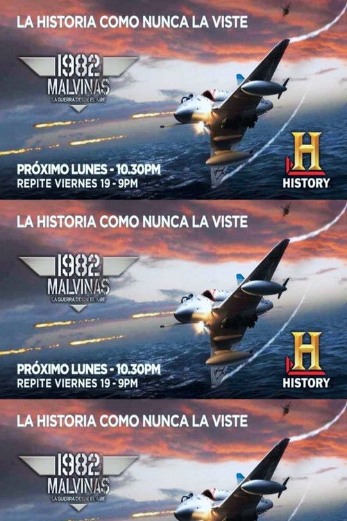 1982 Malvinas, La guerra desde el aire (2009) poster