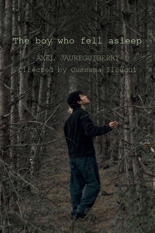 The boy who fell asleep (2022) poster