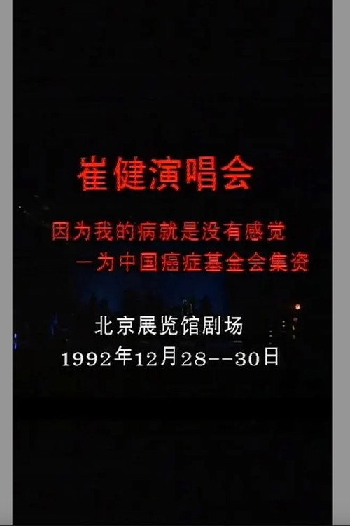 崔健 - 1992年北展演唱会 (1992) poster