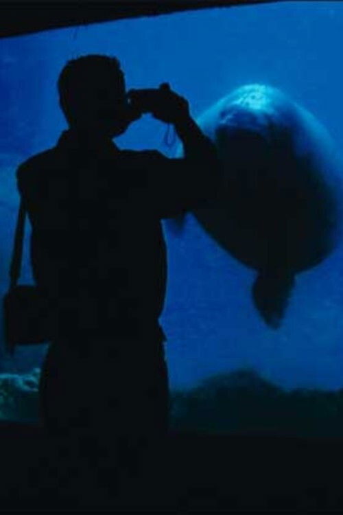 The Aquarium (2006) poster