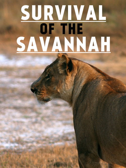 Survival on the Savannah (1999) poster