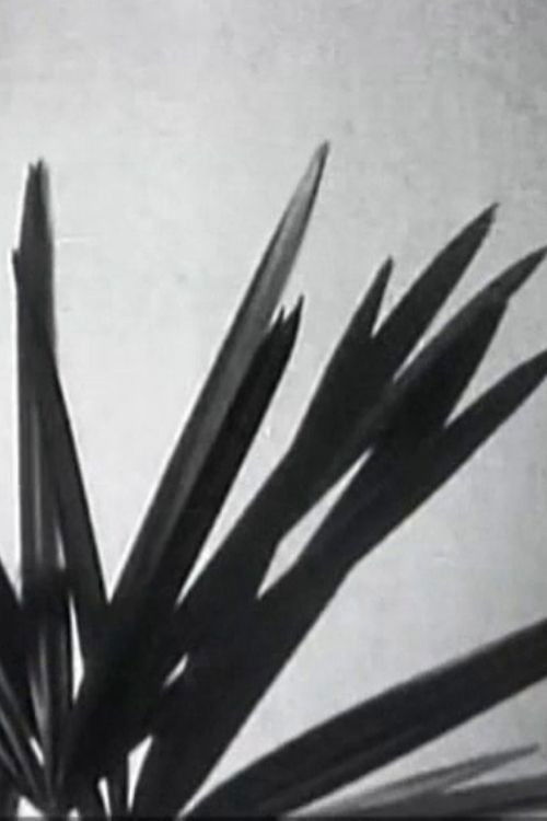 Swing Diary (1996) poster