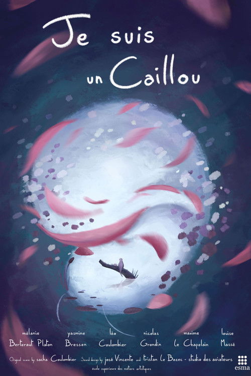 I am a Pebble (2020) poster