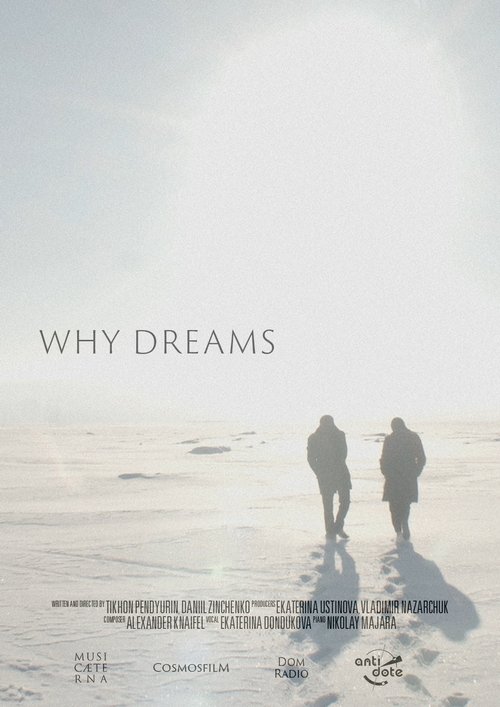 Why Dreams (2021) poster