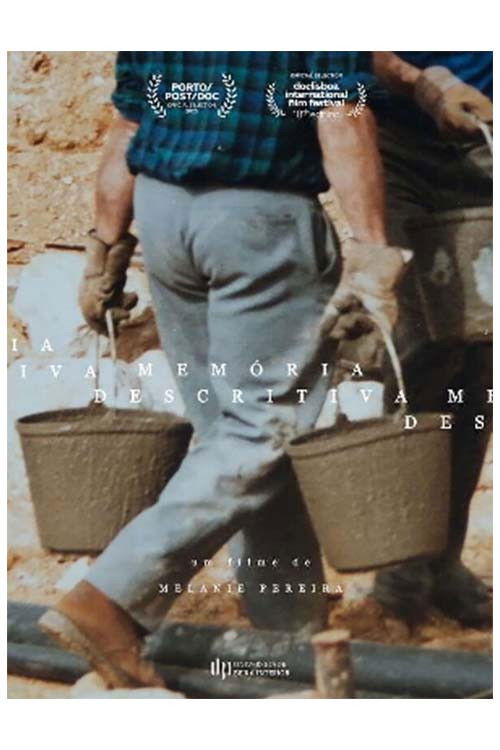 Descriptive Memory (2020) poster