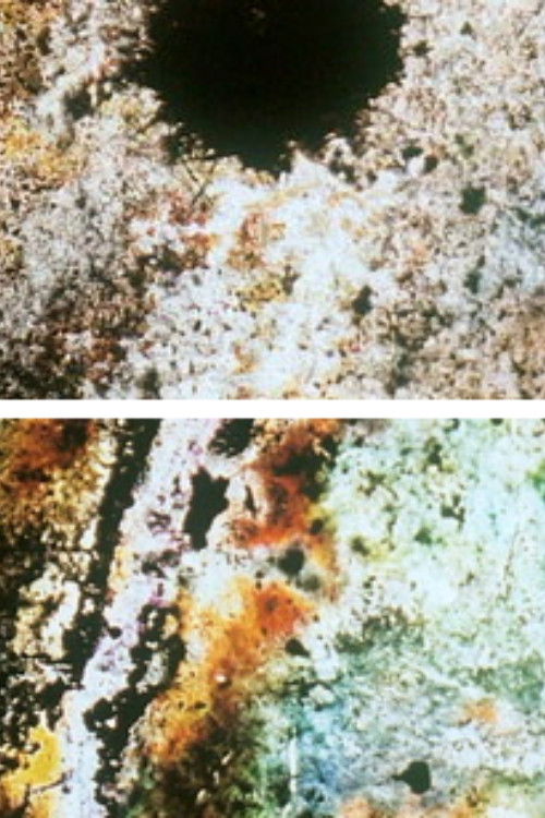 Baby Dream II (2001) poster