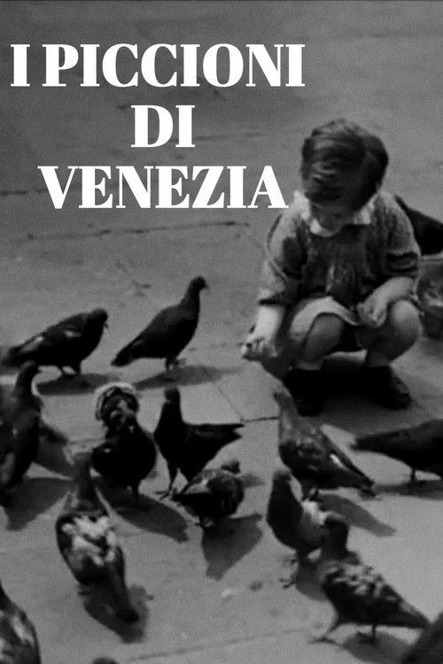 I piccioni di Venezia (1942) poster