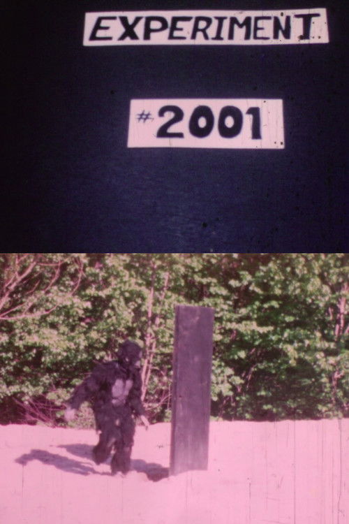 Experiment 2001: A Failure (1970) poster