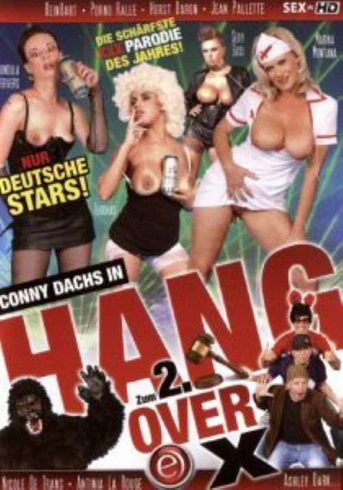 Hang Over X 2 (2012) poster