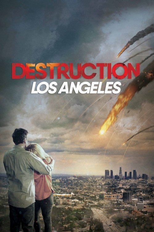 Destruction: Los Angeles (2020) poster