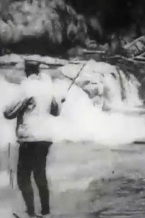 Bass Fishing (1901) poster