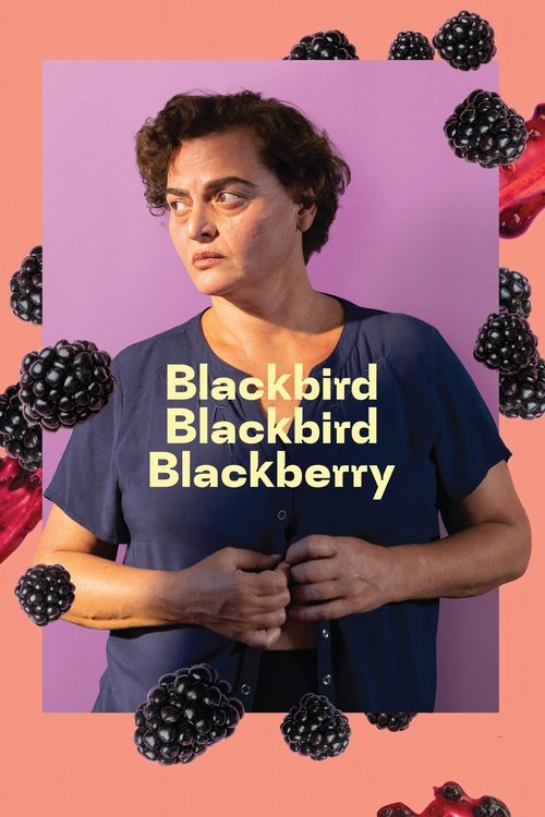 Blackbird Blackbird Blackberry (2023) poster