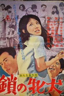 Chained Bitch (1965) poster
