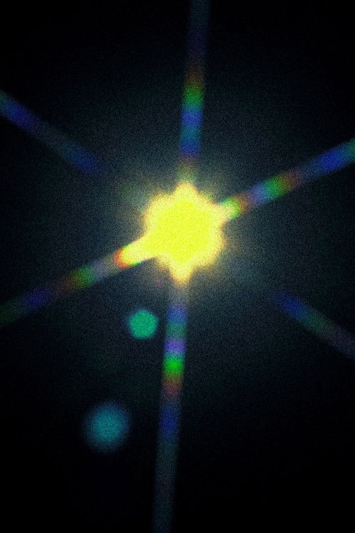 Sun King (2025) poster