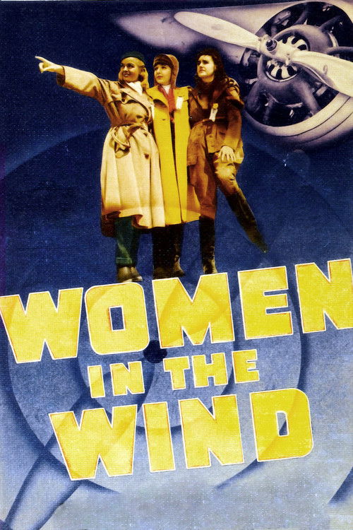 Women in the Wind (1939) poster