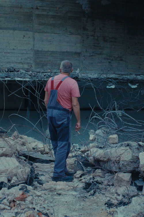 Nothing Remains Nothing Disappears (2026) poster