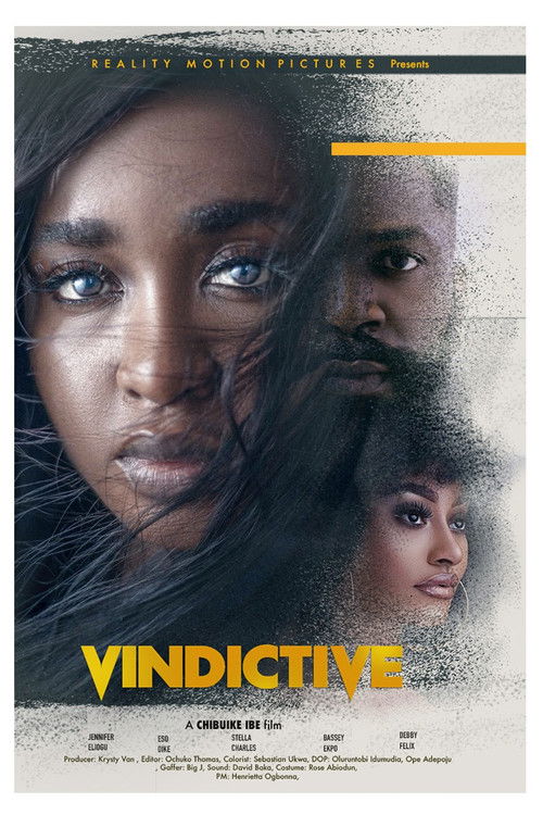 Vindictive (2022) poster