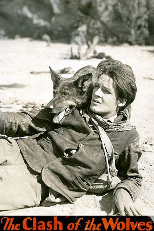 Clash of the Wolves (1925) poster