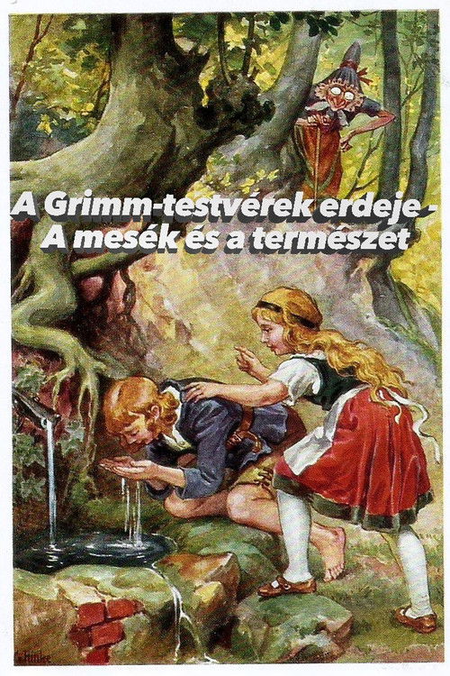 Im Märchenwald der Gebrüder Grimm (2021) poster