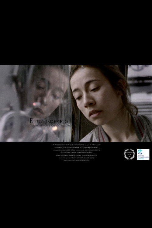 The Last Veil (2013) poster