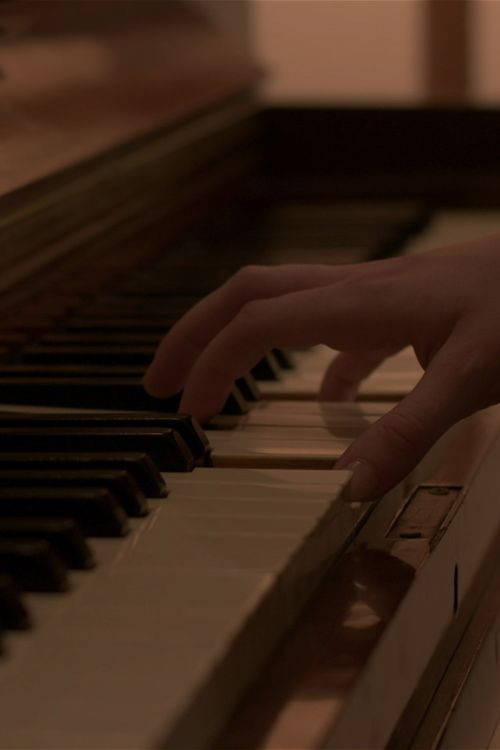 Magnolia (2025) poster