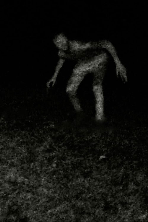 Stalking (2023) poster