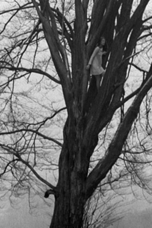 Fundevogel (1967) poster