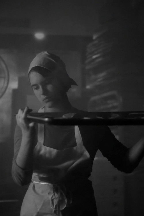 The Man Who Came Out Only at Night (2013) poster