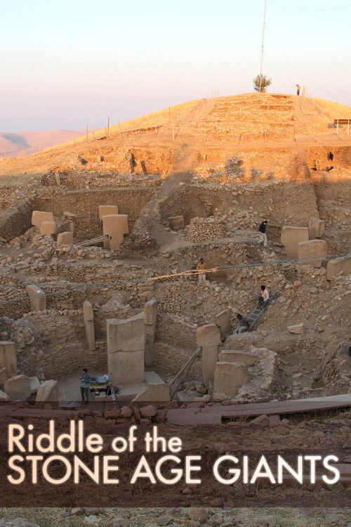 Riddle of the Stone Age Giants (2019) poster